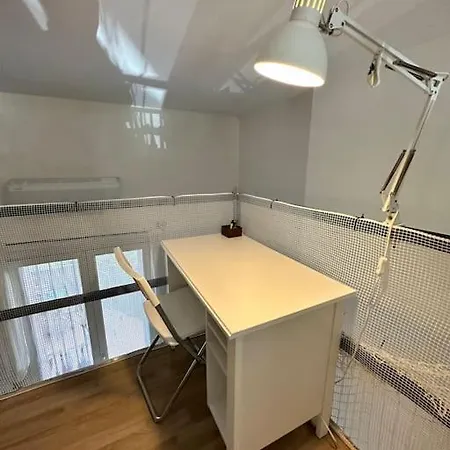 Apartment Loft Moderno Con Terrazzo