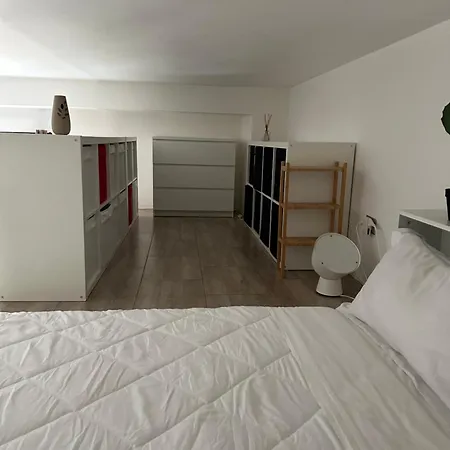 Loft Moderno Con Terrazzo Mediolan