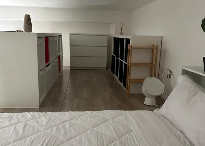 Loft Moderno Con Terrazzo Mediolan